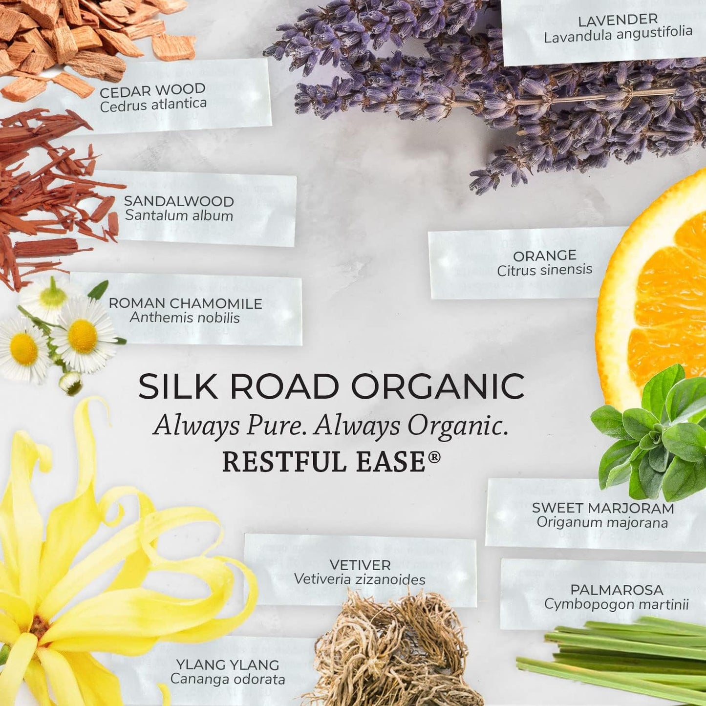 Silk Road Organic Restful Ease Essential Oil Sleep & Stress Blend Roll On - 100% Pure USDA Certified with Indian Sandalwood - Stress Ease Aromatherapy & Calming Relaxation - 10 ml Roller