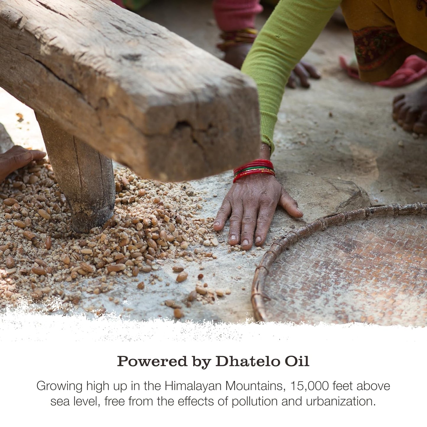 Tweak’d by Nature - Restore Cleansing Damaged Hair Treatment, Sulfate Free Conditioner for Damaged Dry Hair, Shampoo, Detangler, and Intensive Hydrating Solution and Shine Serum (16oz)